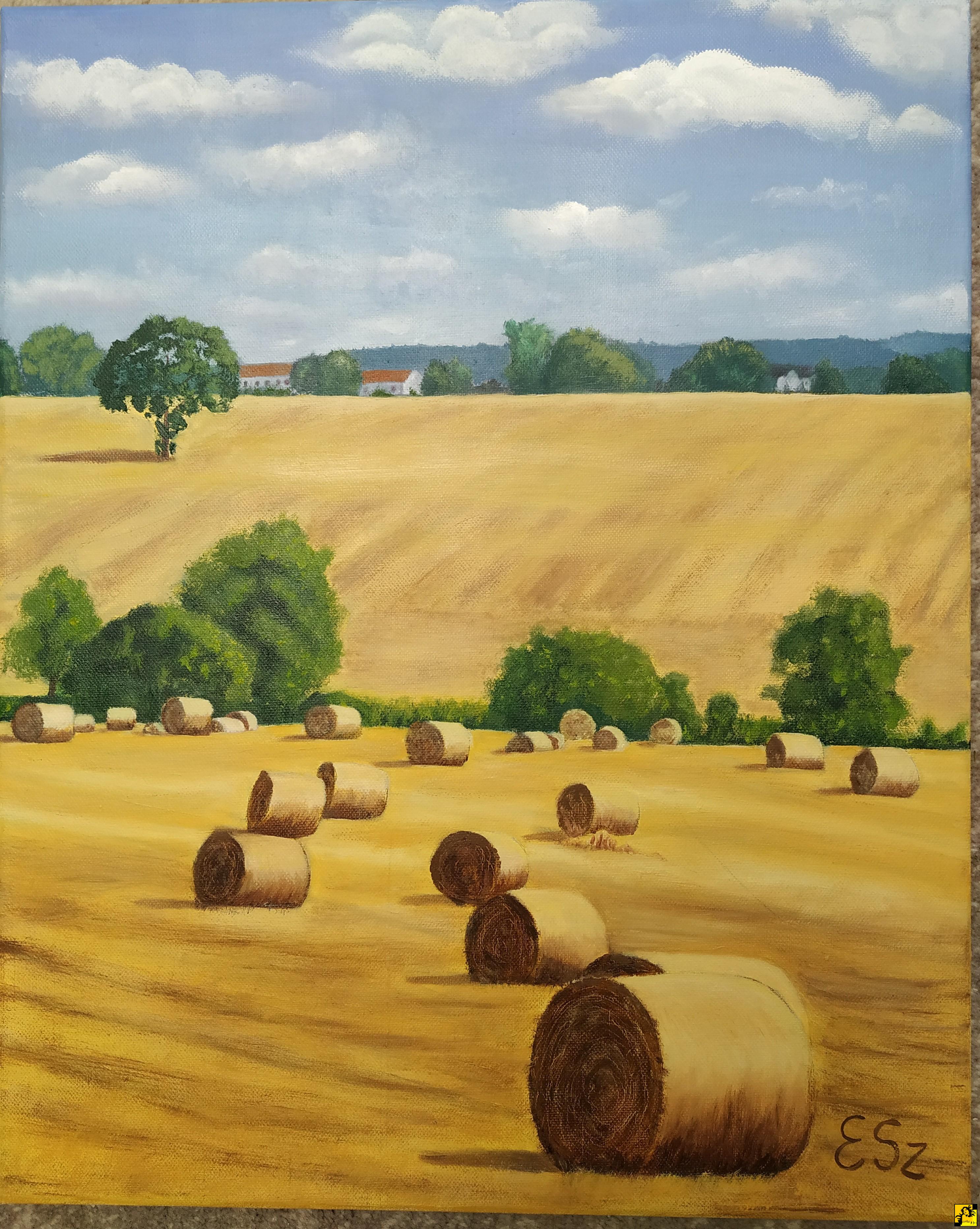 Elżbieta Szpendowska: 