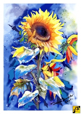 Dumny kwiat słońca