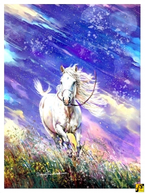 Nie zatrzymuj dzikich koni